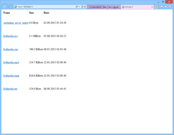 SecurStick  screenshot 3