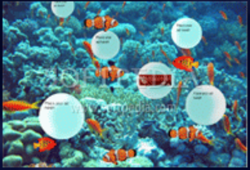 SeeBubbles Virtual Aquarium screenshot