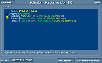 Selenium Server screenshot