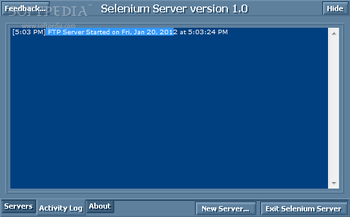 Selenium Server screenshot 2
