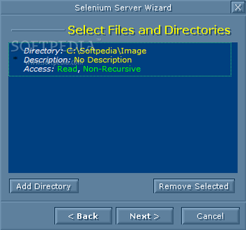 Selenium Server screenshot 4