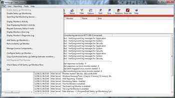 Sentry-go Quick Server Monitor screenshot 2