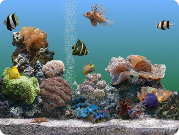 SereneScreen Marine Aquarium screenshot