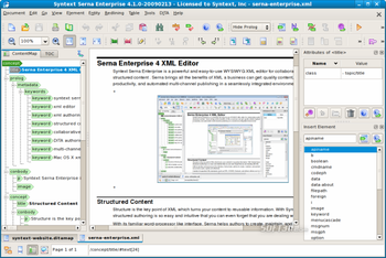 Serna Enterprise for Linux screenshot 3