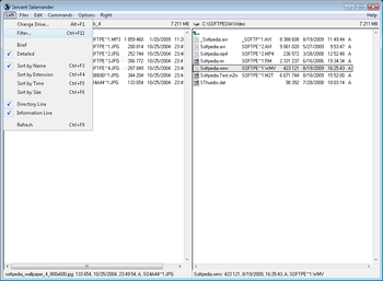 Servant Salamander Free screenshot 13