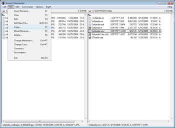 Servant Salamander Free screenshot 3