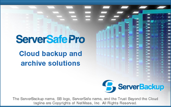 ServerSafe Pro screenshot