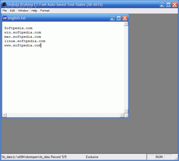 Shabda-Brahma ET-Feel Word-Storm Processor (SB) screenshot 3