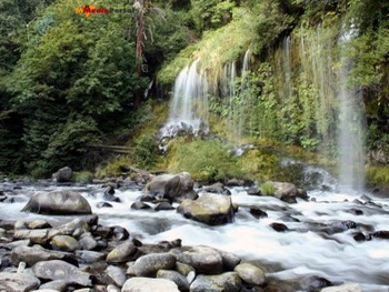 Shangri-La Screensaver screenshot