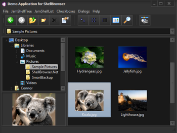 ShellBrowser Components Delphi Edition screenshot 2
