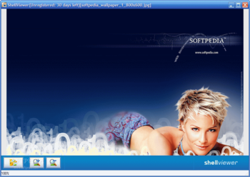 ShellViewer screenshot