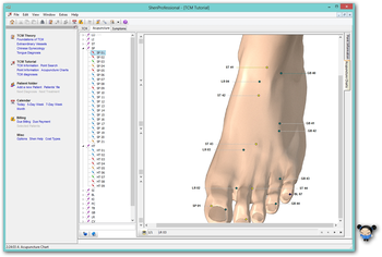 ShenProfessional screenshot 2