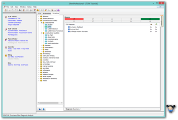 ShenProfessional screenshot 3