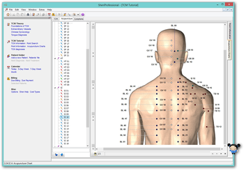 ShenProfessional screenshot 4