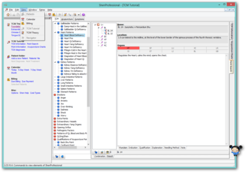 ShenProfessional screenshot 5