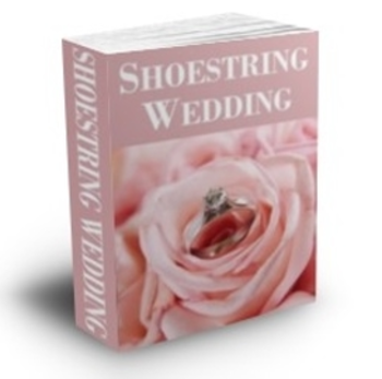 Shoestring Wedding screenshot