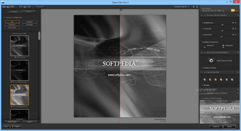 Silver Efex Pro for Lightroom screenshot