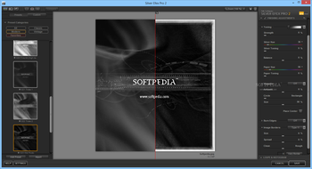 Silver Efex Pro for Lightroom screenshot 3