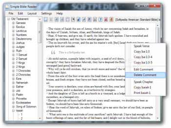 Simple Bible Reader screenshot