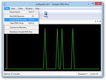 Simple DNS Plus screenshot 2