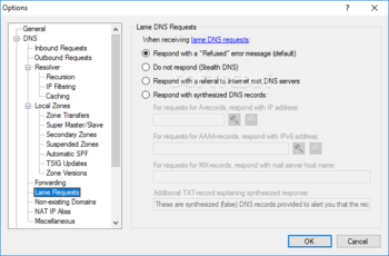 Simple DNS Plus screenshot 21
