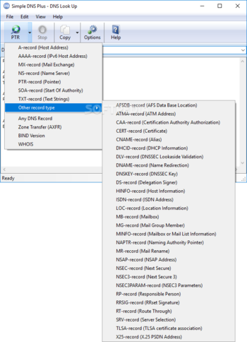 Simple DNS Plus screenshot 7