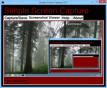 Simple Screen Capture screenshot 2