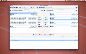 SimpleHelp screenshot 2