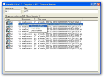 SimpleNetFile screenshot 3