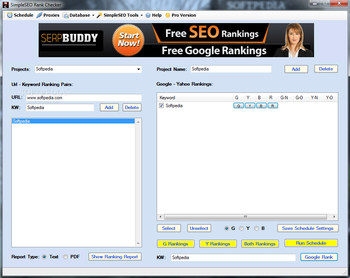 SimpleSEO Rank Checker screenshot