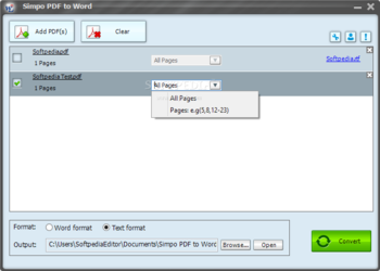 Simpo PDF to Word screenshot