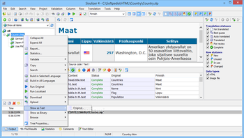 Sisulizer Enterprise screenshot