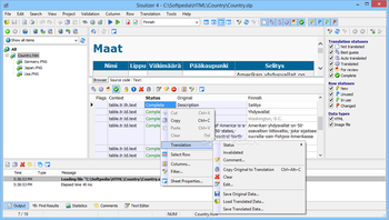 Sisulizer Enterprise screenshot 2