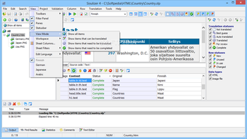 Sisulizer Enterprise screenshot 4