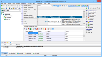 Sisulizer Enterprise screenshot 6