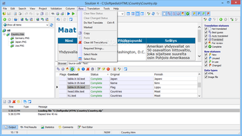 Sisulizer Enterprise screenshot 7