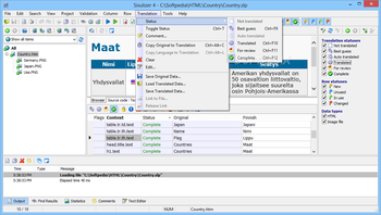 Sisulizer Enterprise screenshot 8