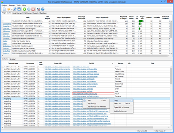 Site Visualizer Professional screenshot