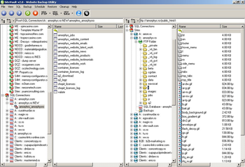 SiteVault - Website Backup Software screenshot