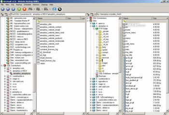 SiteVault - Website Backup Software screenshot 2
