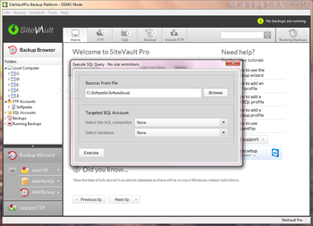 SiteVaultPro screenshot 5