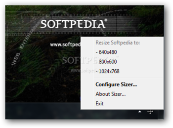 Sizer Portable screenshot 2