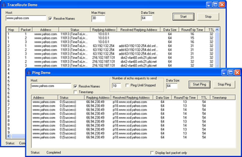 SkICMP ActiveX Control screenshot 2