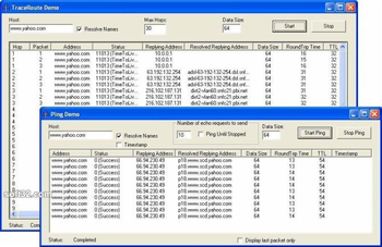 SkICMP ActiveX Control screenshot 3