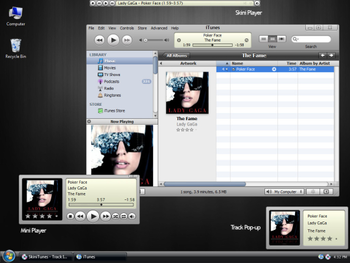 SkiniTunes screenshot