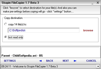 Skopin FileCopier screenshot 4