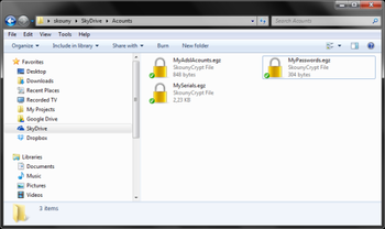 SkounyCrypt screenshot 2