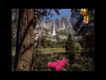 SkyLife Screen Saver screenshot