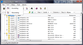 SL Directory Printer screenshot