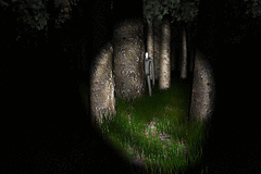 Slender: The Eight Pages screenshot 3